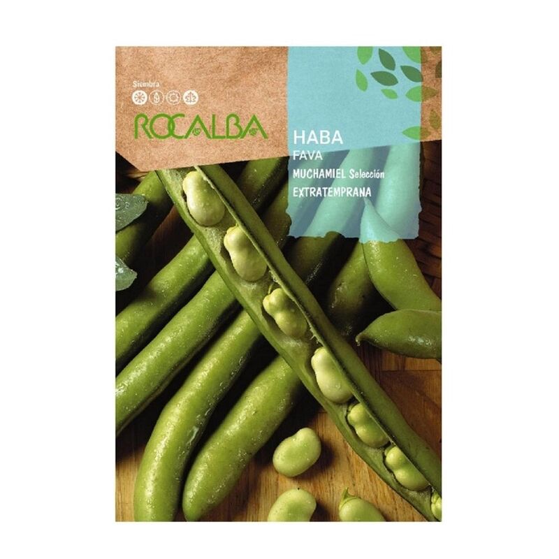 foto del prodotto semilla aveva molti primi 250gr in anticipo rocalba