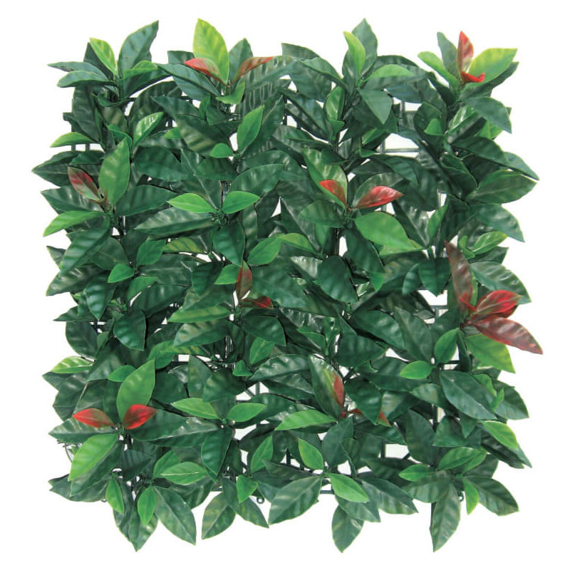 foto del prodotto sempreverde redplast 1x1