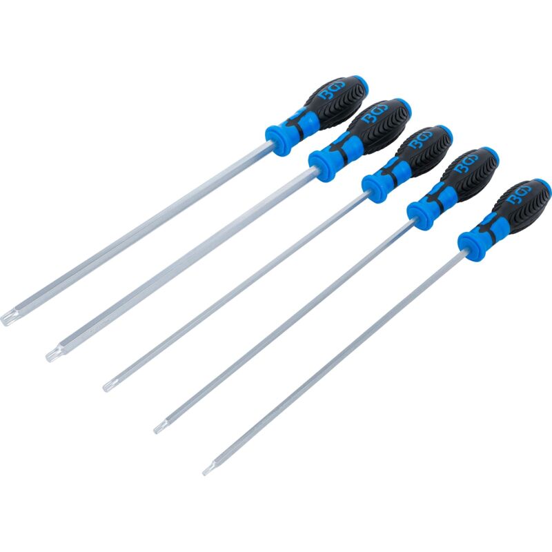 foto del prodotto serie di cacciaviti poligonale interno per xzn 5 pz.