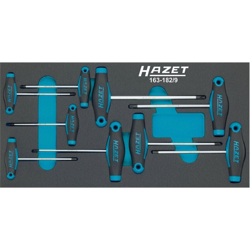 foto del prodotto serie di giraviti con impugnatura a t 163-182 9 profilo interno torx 9-pezzi t6 t7 t8 t9 t10 t15 t20 t25 t30