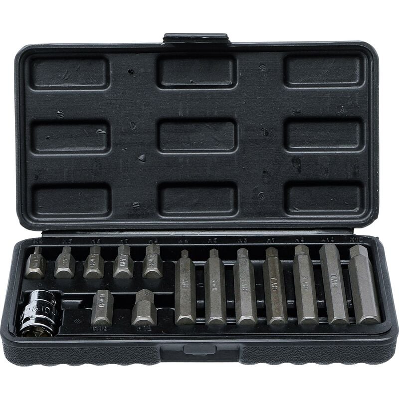 foto del prodotto serie di inserti attacco esagono esterno 10 mm 3 8 esagono interno 15 pz.