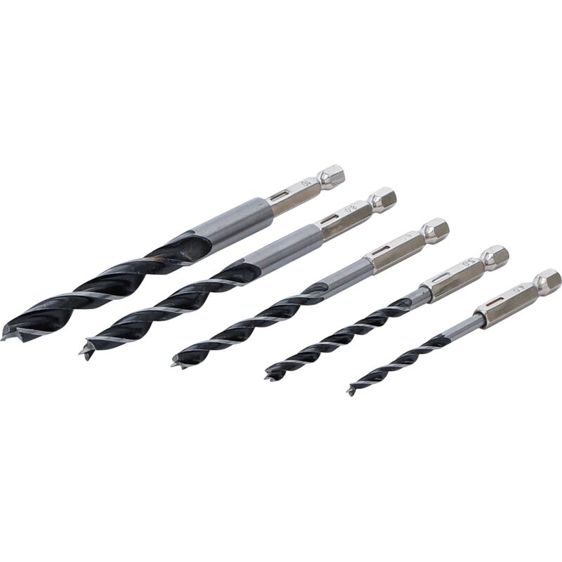 foto del prodotto serie di punte per legno 4 10 mm esagono 5 pz.