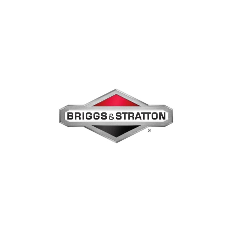 foto del prodotto serie segmenti originale briggs stratton 499604