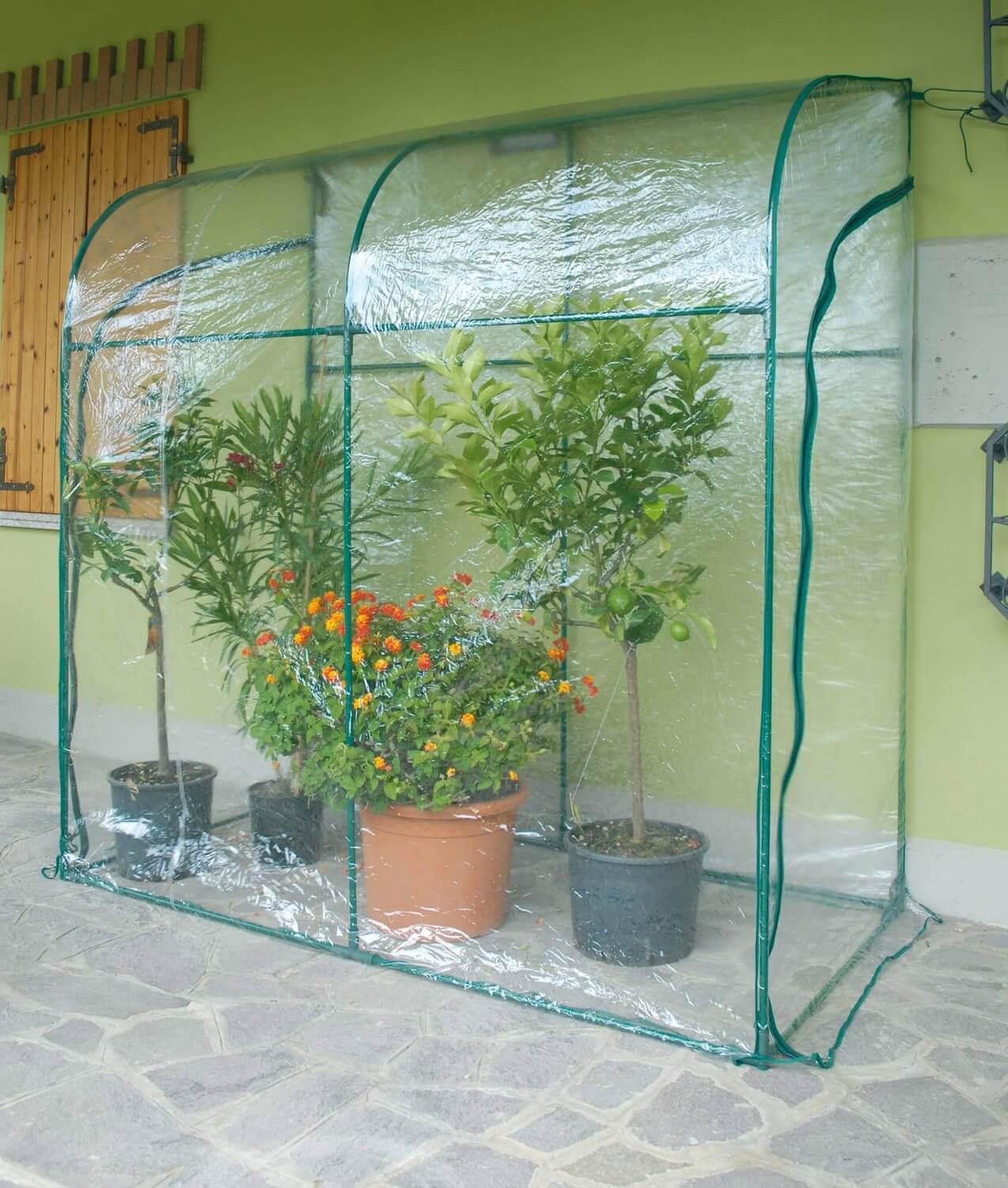 foto del prodotto serra da giardino a parete in acciaio con telo rama oleander verde