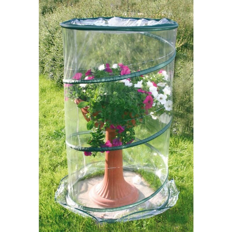 foto del prodotto serra da giardino con sistema pop up 70cm rama anthurium verde