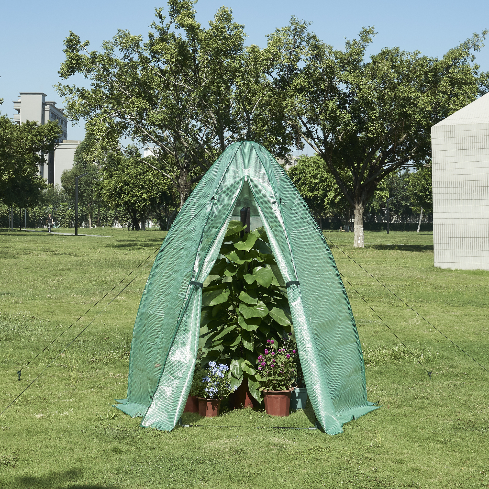 foto del prodotto serra da giardino hunze per coltivazione piante copertura semitrasparente verde alto 183 cm en.casa 