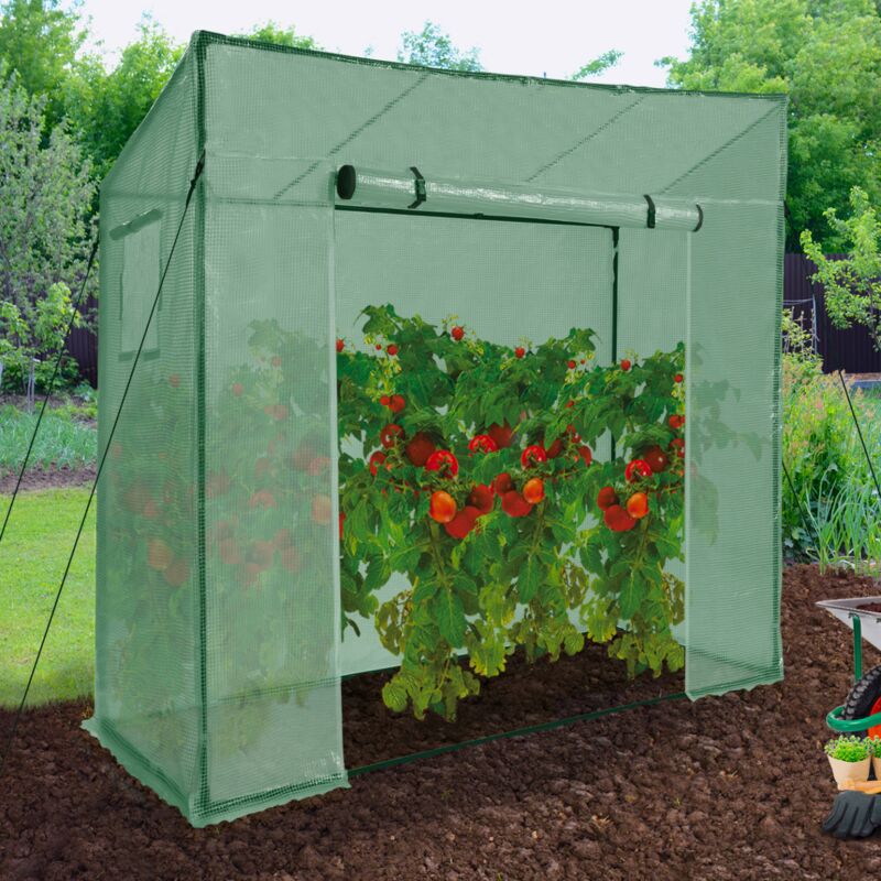 foto del prodotto serra da giardino verde, per tutte le stagioni, con finestra e porta con zip