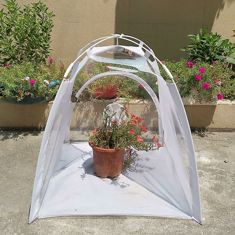 foto del prodotto serra per piante pieghevole serra a farfalla multifunzione per coltivazione in giardino per pomodori