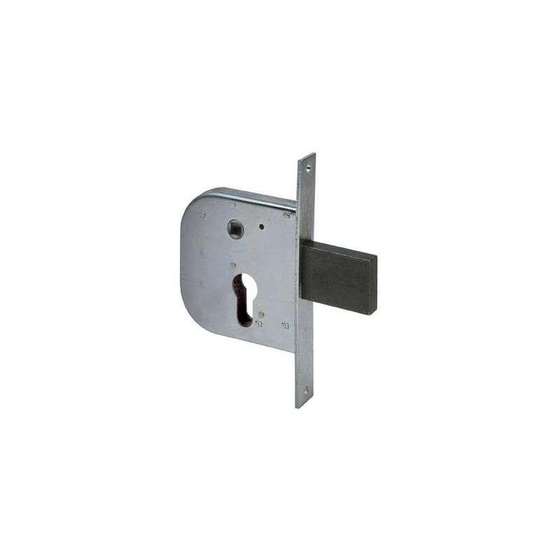 foto del prodotto serratura cancello infilare 42312 cisa b.q zinc f.mm 22 f.sagom m1 scr q8 e.mm 50