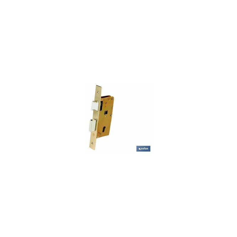 foto del prodotto serratura da infilare incontro ottone d47 e40 porte in legno 