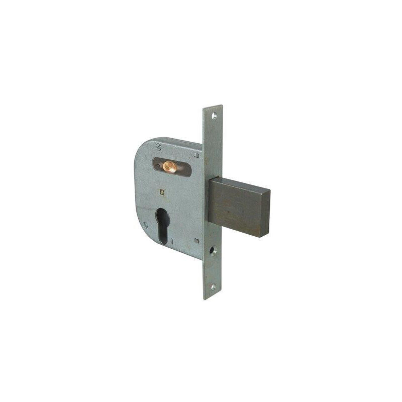 foto del prodotto serratura da infilare per cancelli art. 42032 cisa e50 scatola 84,5x95 mm