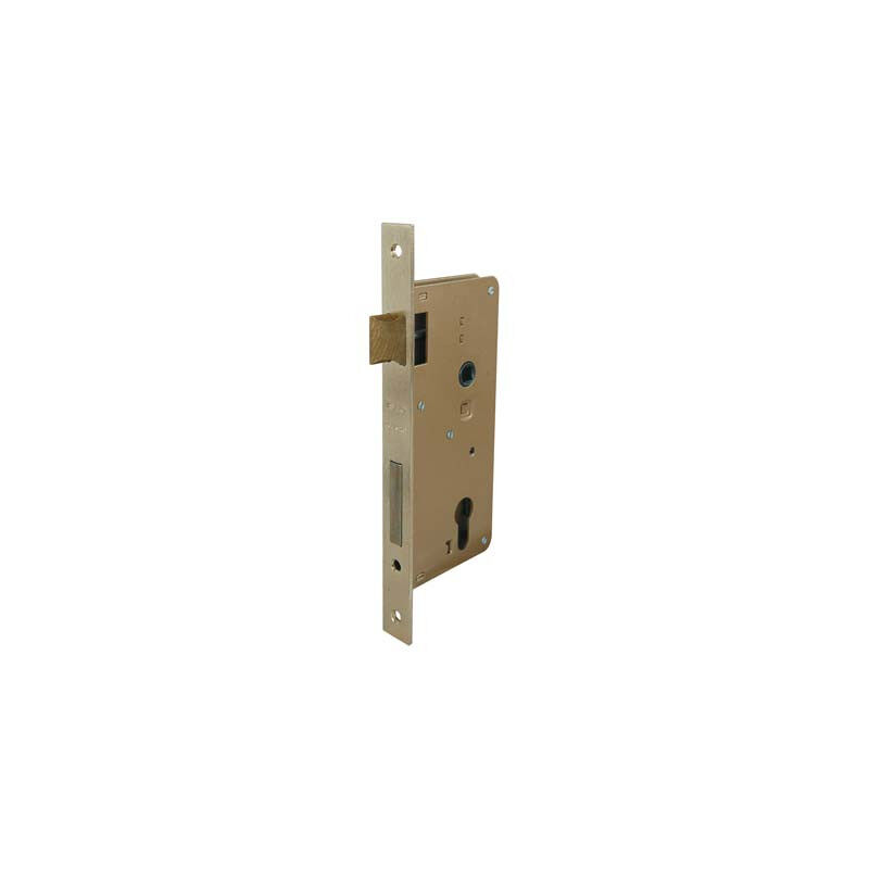 foto del prodotto serratura legno infilare 200 iseo b.q ottonato f.mm 22 f.sagom m2 scr q8 e.mm 50
