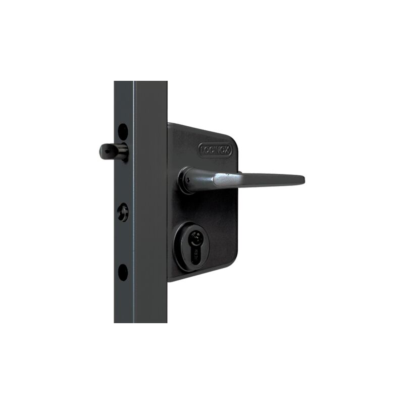 foto del prodotto serratura ral 9005 nero locinox cancello battente maniglia cilindro profilo 30 50 lakq3030 u2l