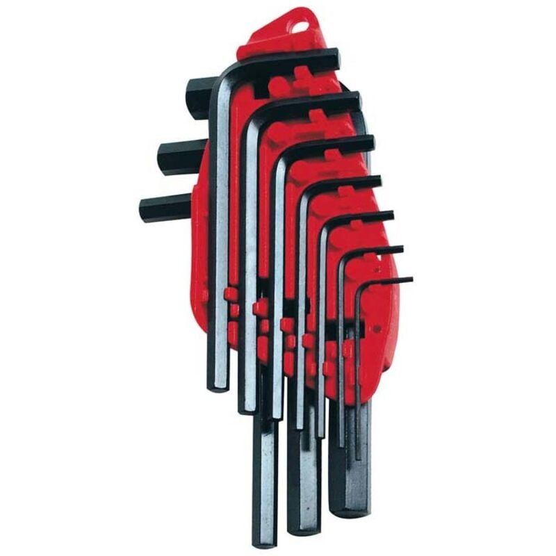 foto del prodotto set 10 chiavi a brucola con supporto in plastica da 1,5 a 10 mm