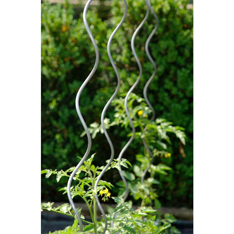 foto del prodotto set 10 sostegni tutori a spirale per piante pomodori 200 cm in acciaio agrati
