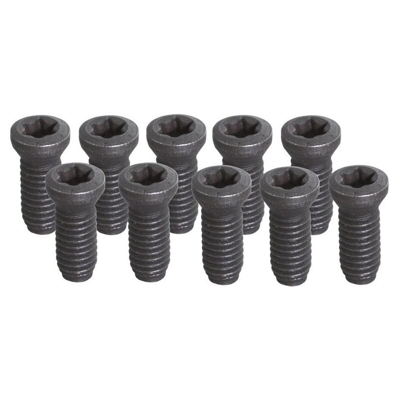 foto del prodotto set 10 viti t15 m4 fervi kv200 x utensile tornio