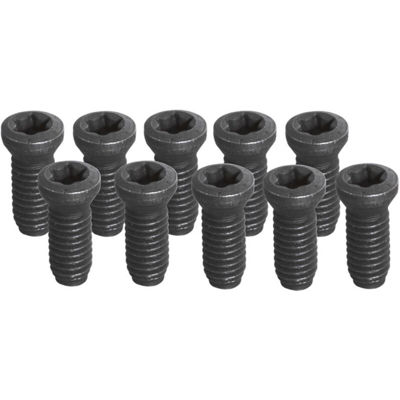 foto del prodotto set 10 viti torx t15 m3,5 fervi kv350 per utensile fresa tornio
