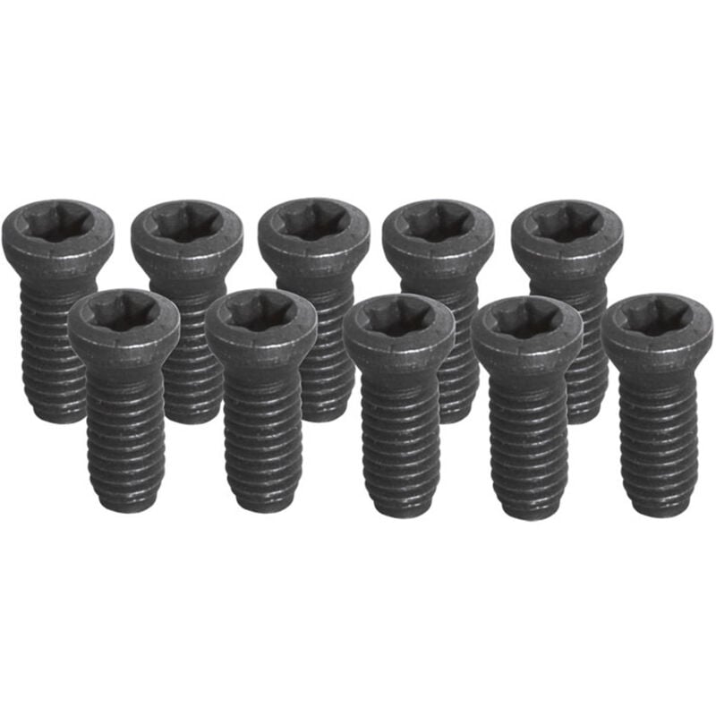 foto del prodotto set 10 viti torx t20 m5 fervi kv500 per utensile fresa tornio