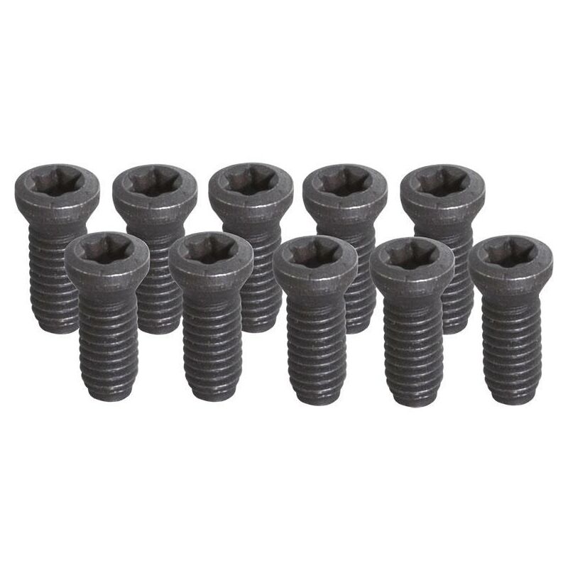 foto del prodotto set 10 viti torx t8-m2 fervi kv200 per utensile fresa tornio