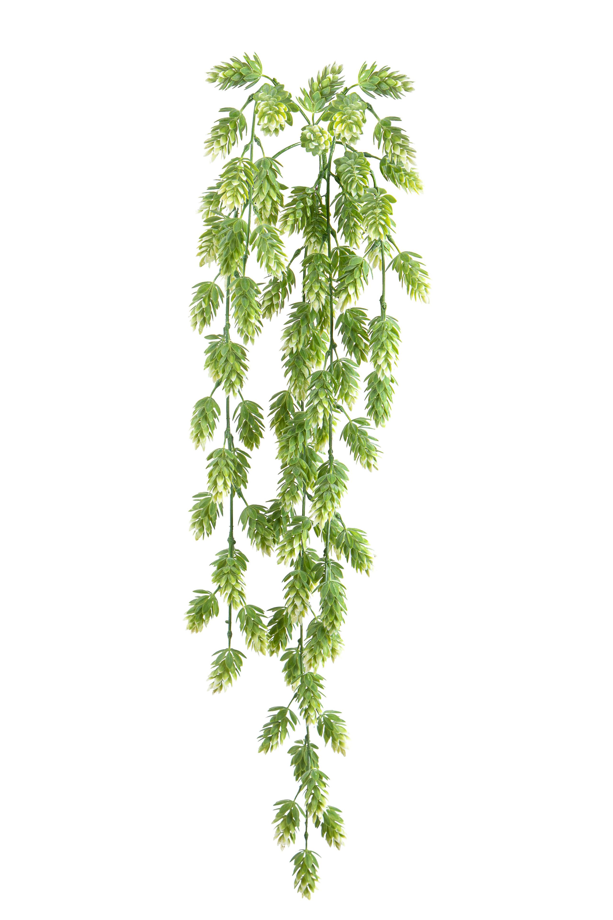 foto del prodotto set 2 cespugli artificiali pendente di luppolo altezza 72 cm verde