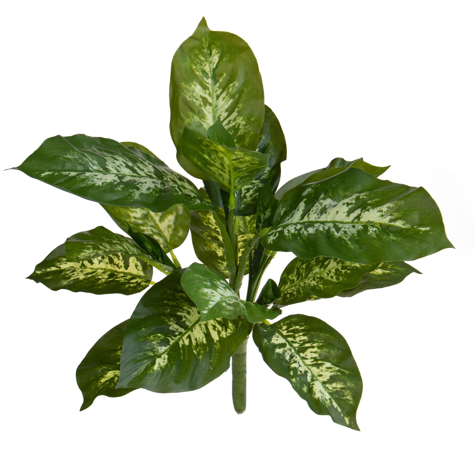 foto del prodotto set 2 diffenbachia artificiale per 22 foglie h.38 cm verde