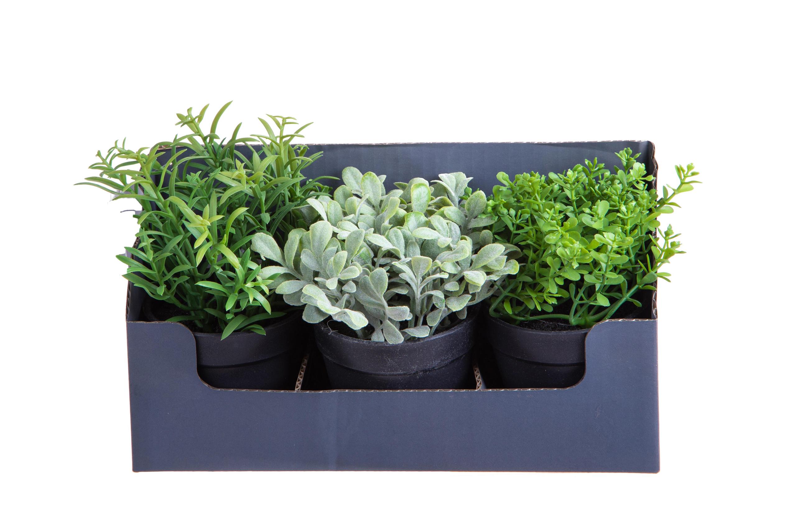 foto del prodotto set 2 mini piante aromatiche artificiali 6 pezzi in vaso assortite altezza 20 cm verde