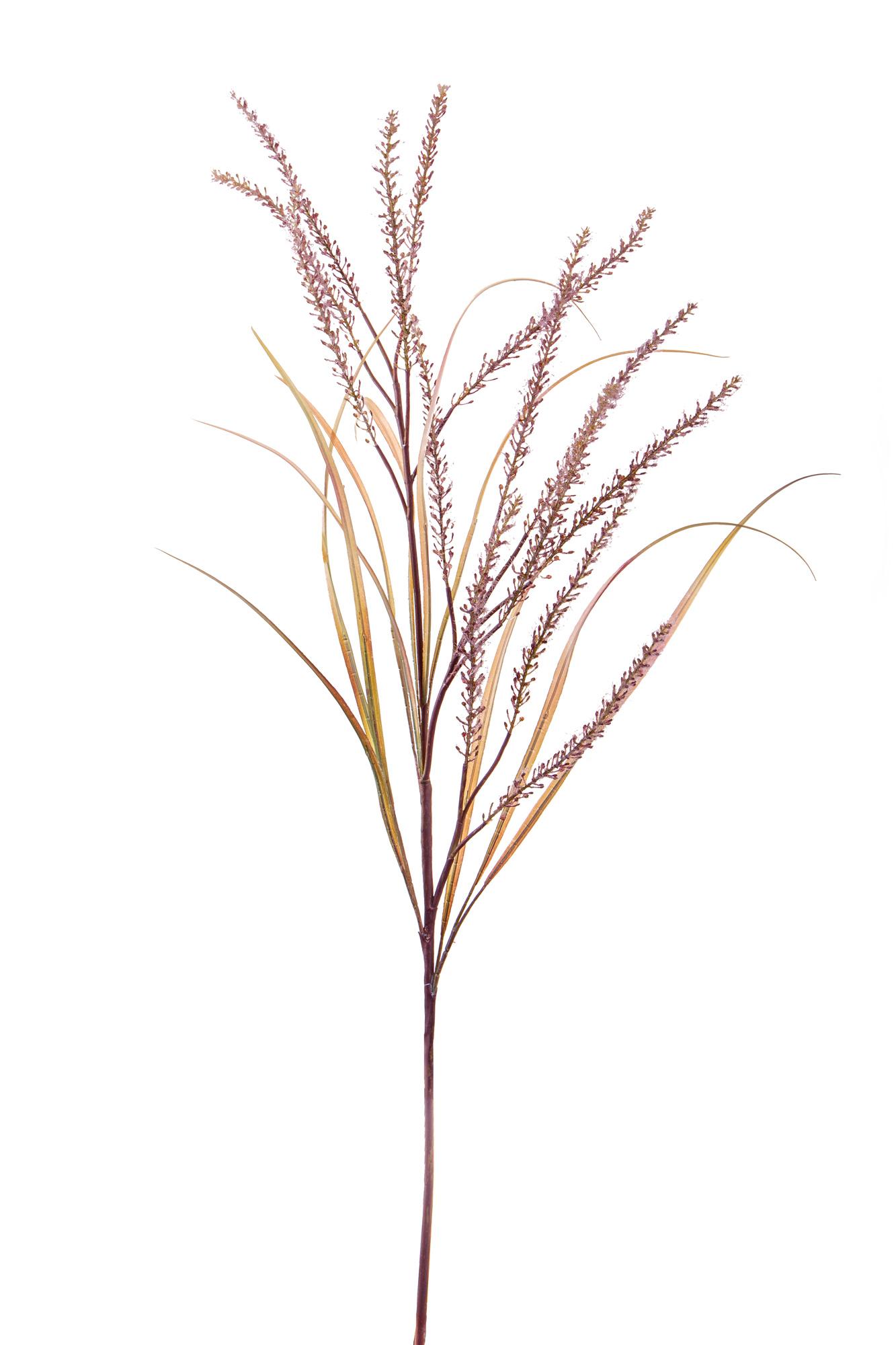 foto del prodotto set 2 pennisetum artificiali con 14 diramazioni altezza 130 cm marrone
