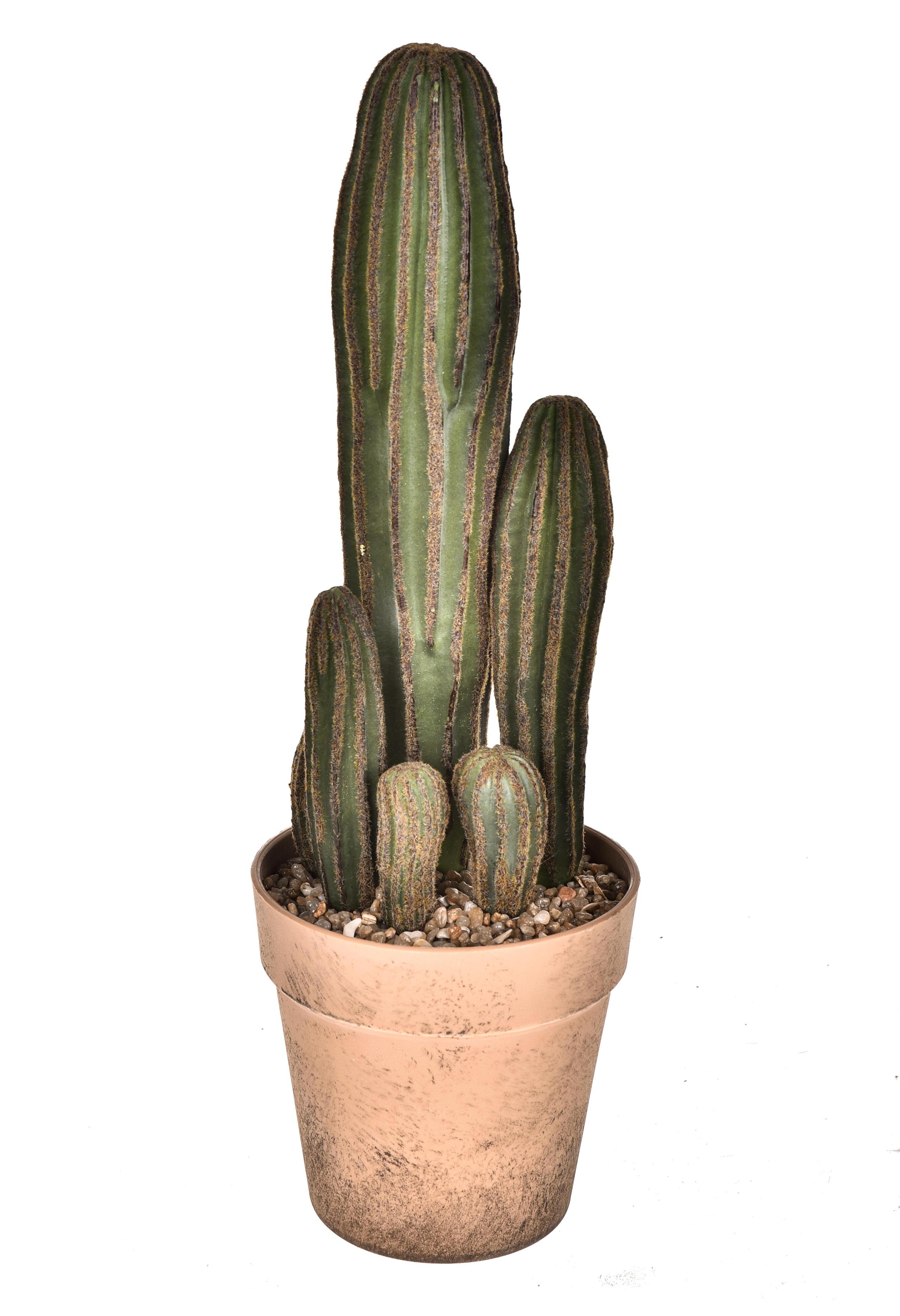 foto del prodotto set 2 pianta di cactus artificiale con vaso altezza 24 cm verde