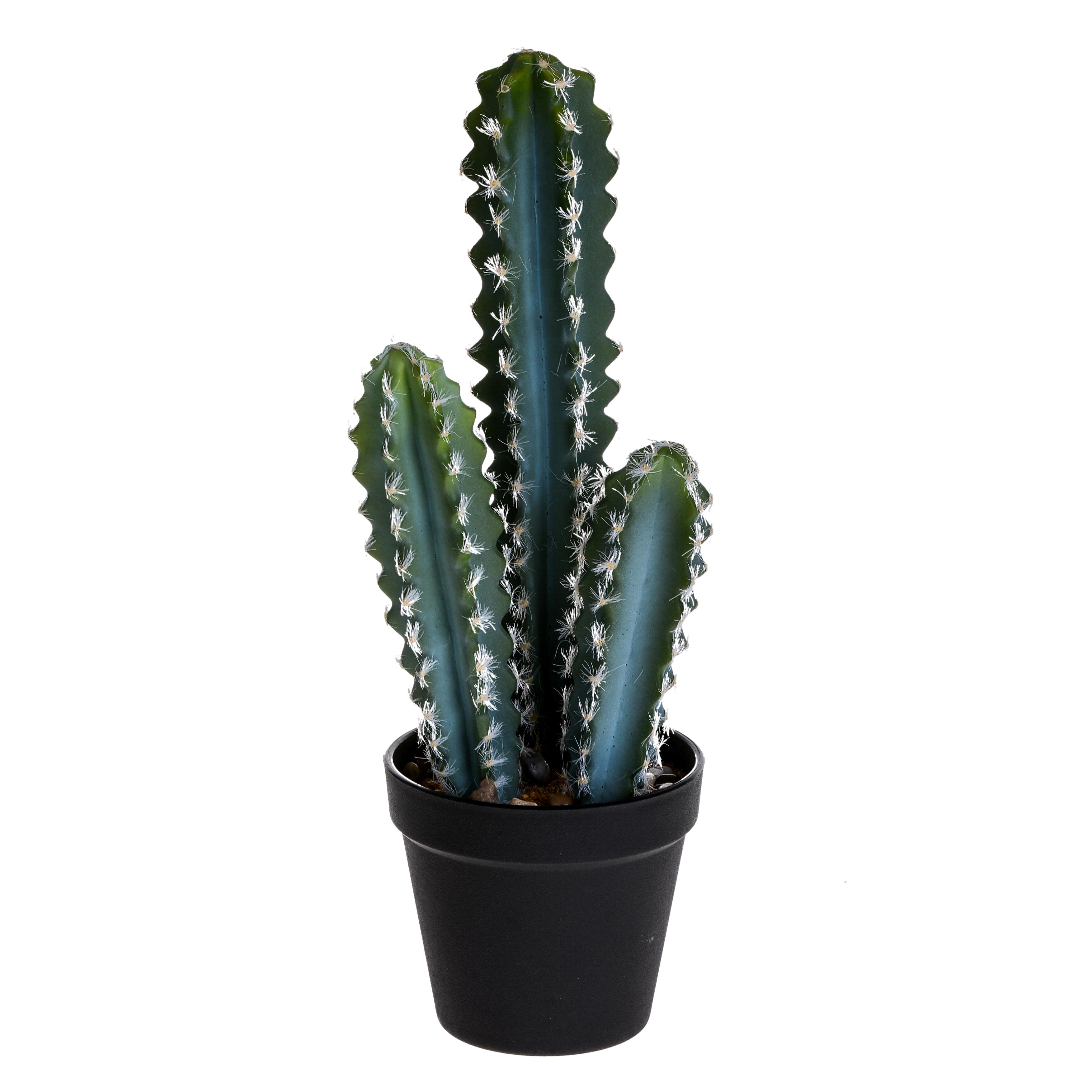 foto del prodotto set 2 piante artificiali cactus echinopsi con vasi h 37 cm