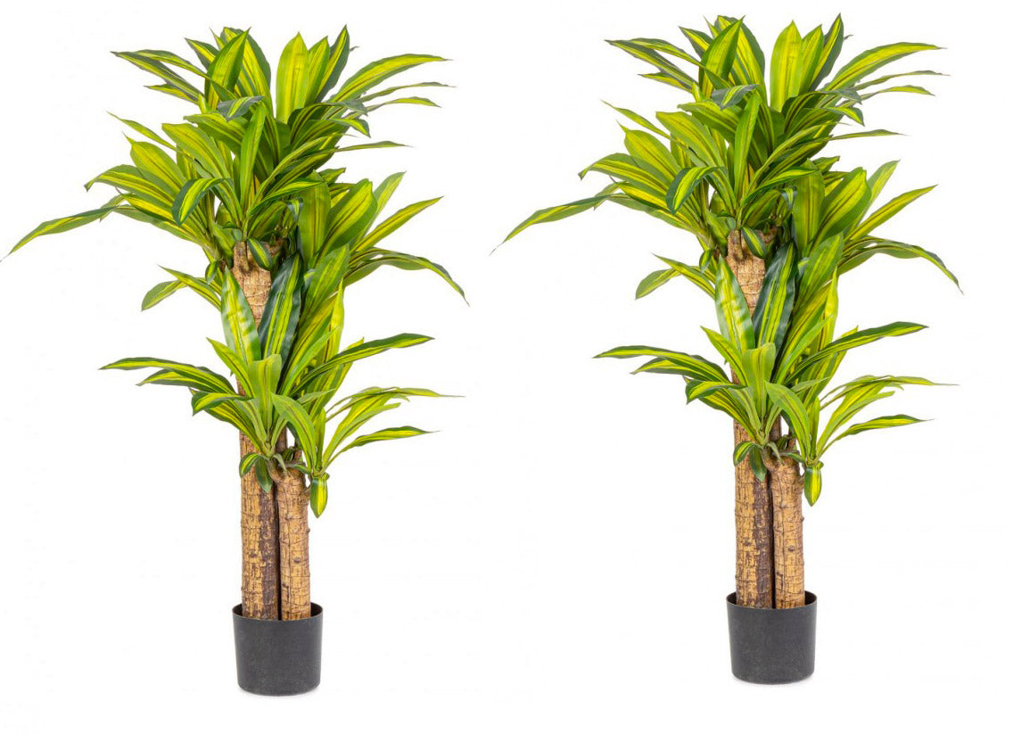 foto del prodotto set 2 piante artificiali dracaena 100x130 cm in plastica con vasi verde