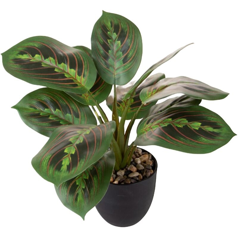 foto del prodotto set 2 piante artificiali maranta 11 foglie in vasi 36 cm