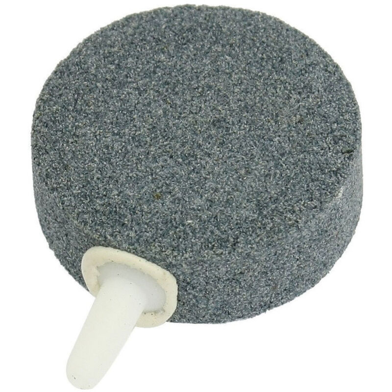 foto del prodotto set 2 pietra pietre porosa tonda 40x17mm ugello aereatore ossigenazione acquario trade shop traesio
