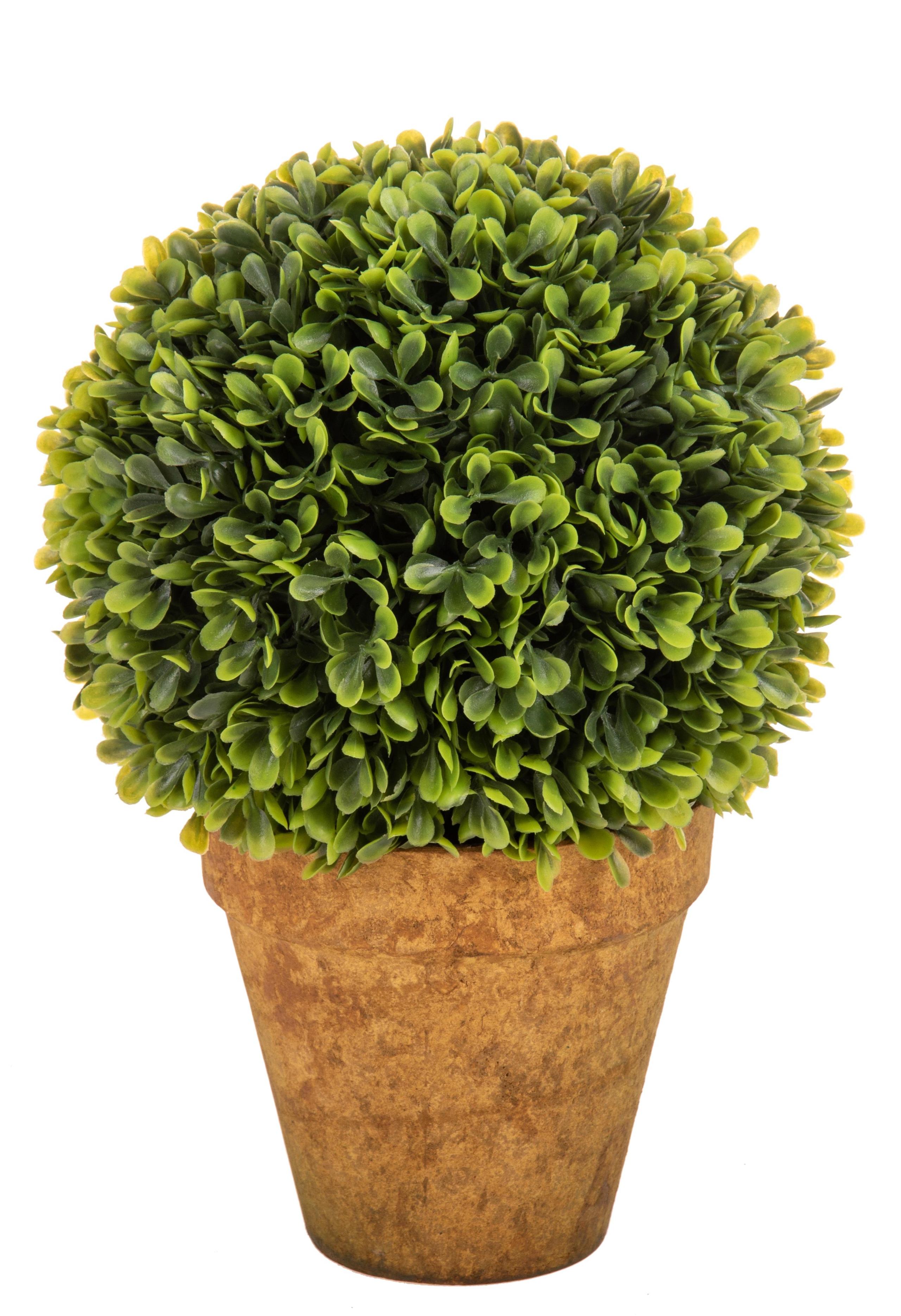 foto del prodotto set 2 sfera bossolo buxus artificiale con vaso altezza 23 cm verde