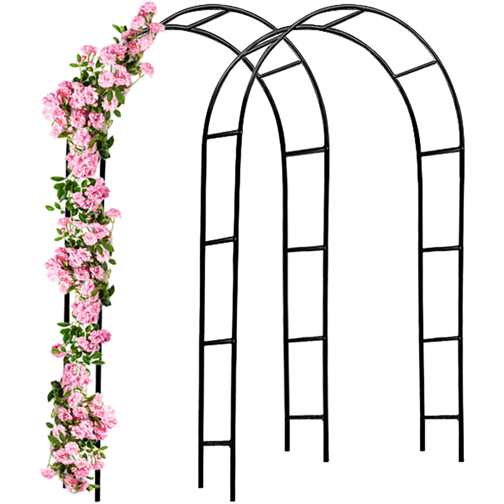 foto del prodotto set 2 x archi per rose metallo nero 240x140x37cm