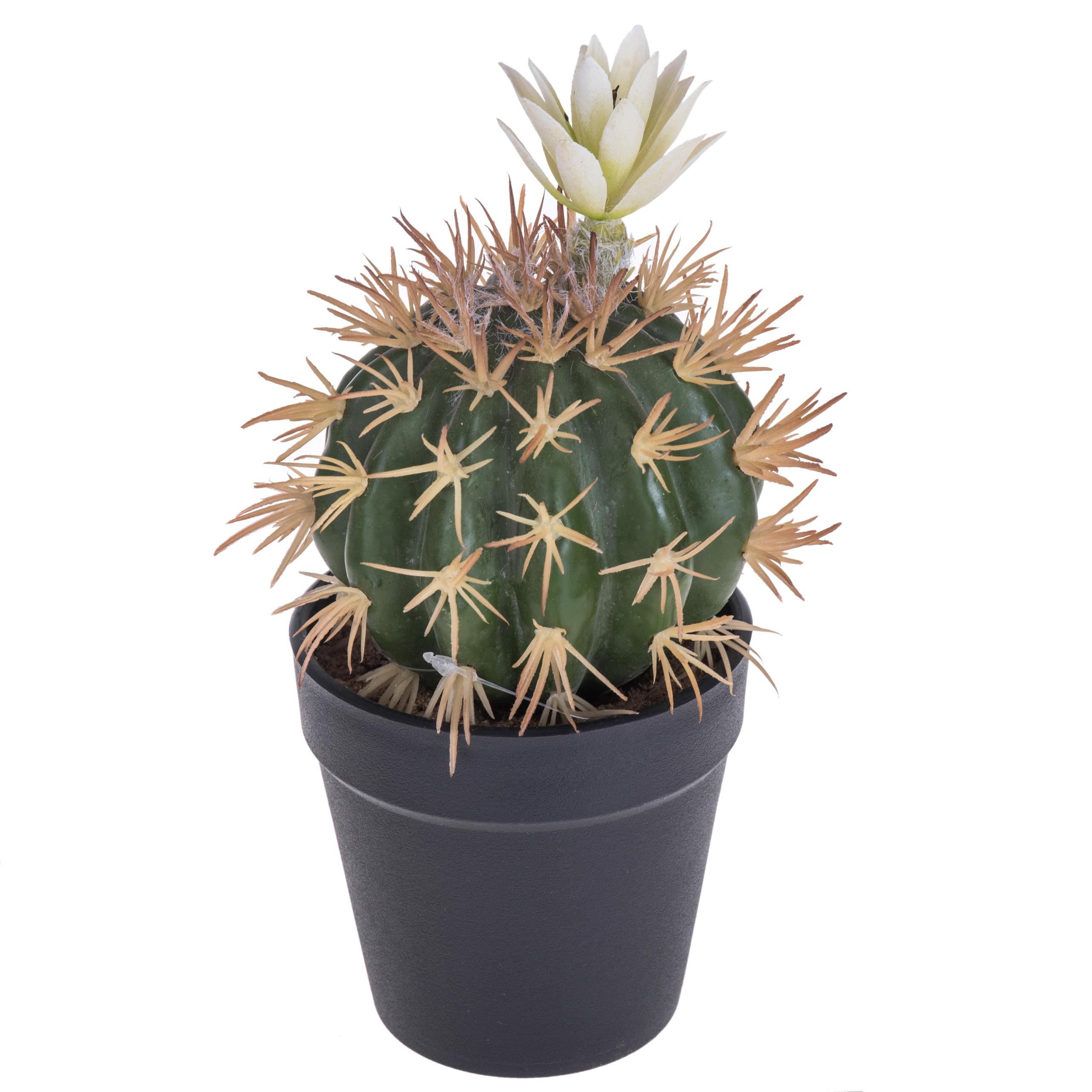 foto del prodotto set 3 cactus artificiale con fiori in vaso altezza 19 cm