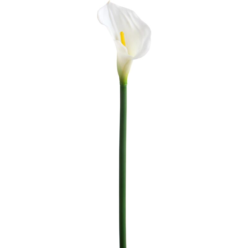 foto del prodotto set 4 fiori artificiali di calla singola altezza 74 cm bianco