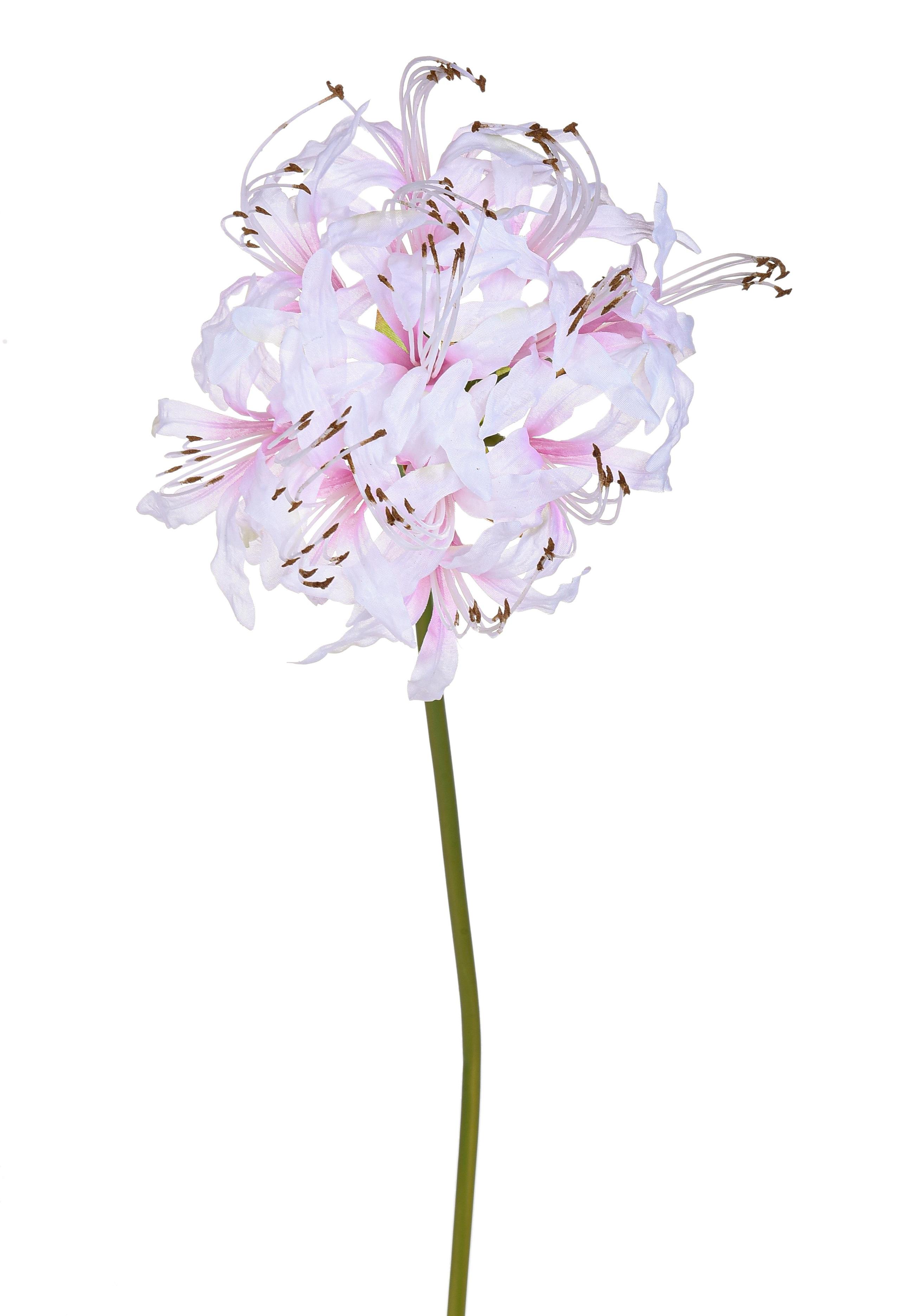 foto del prodotto set 4 fiori artificiali di nerina singola 65 cm bianco