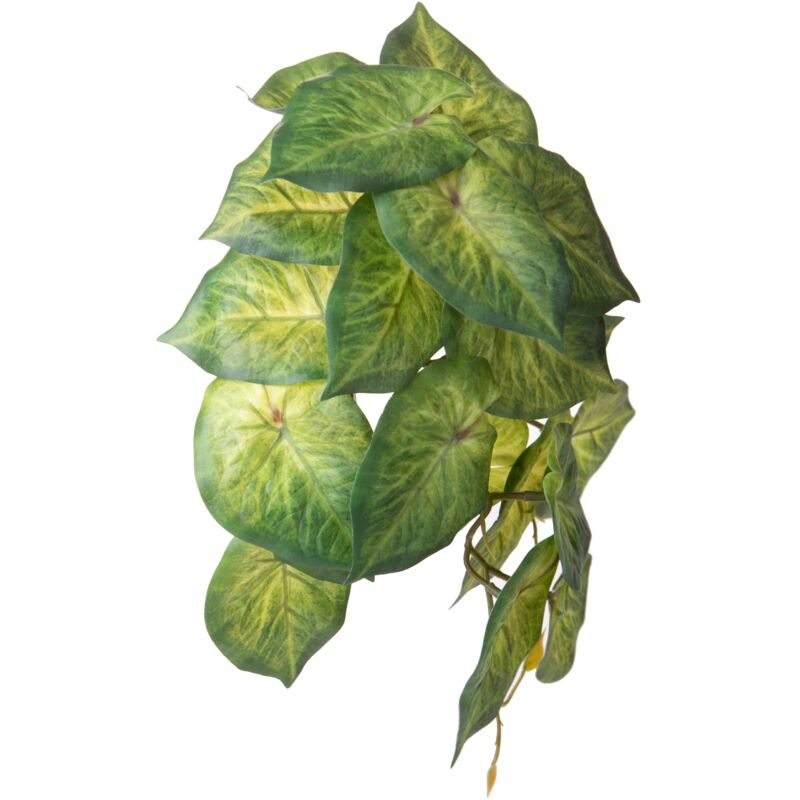 foto del prodotto set 4 foglie artificiali syngonium per 21 foglie 18 cm