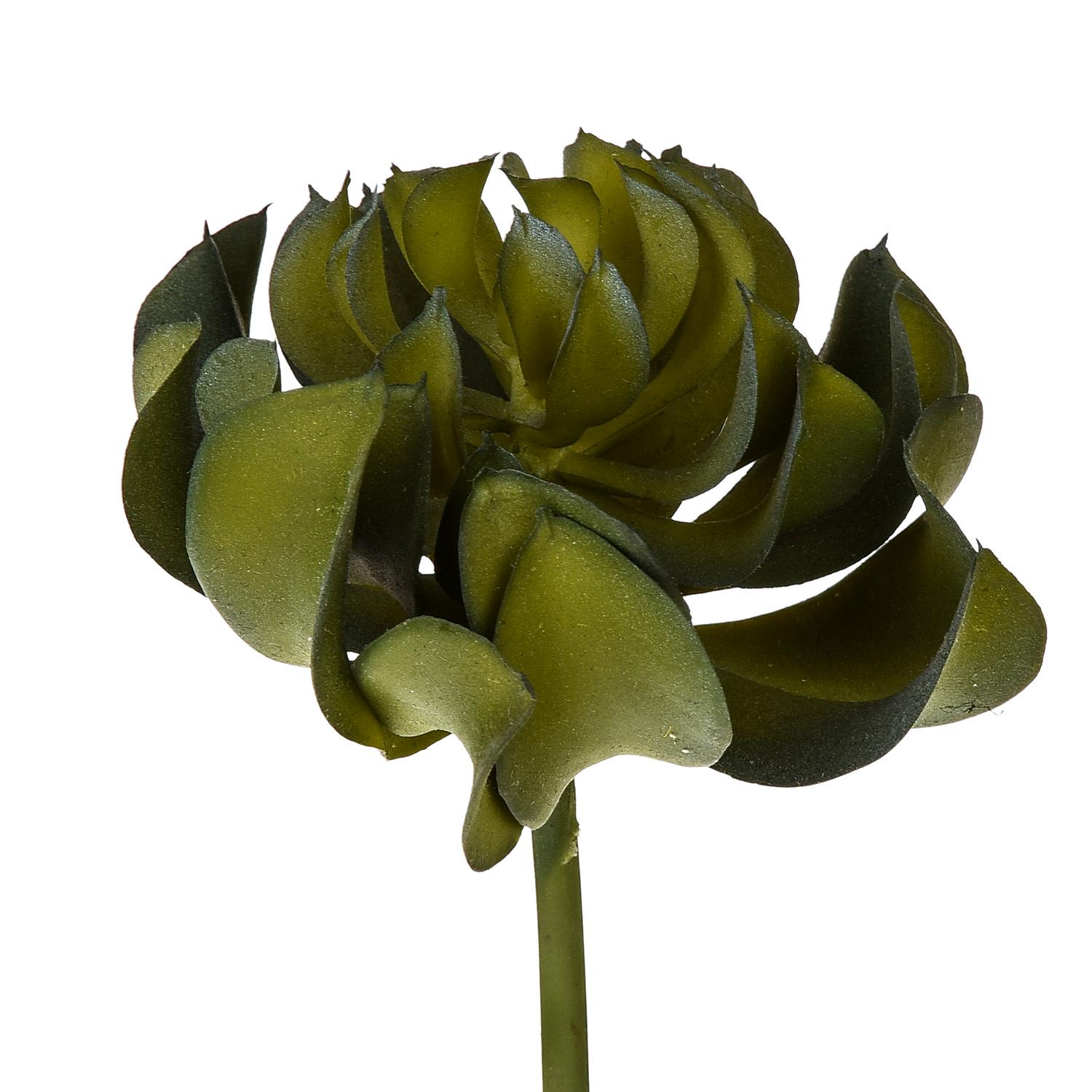 foto del prodotto set 6 aoenium arboreum artificiale altezza 13 cm verde