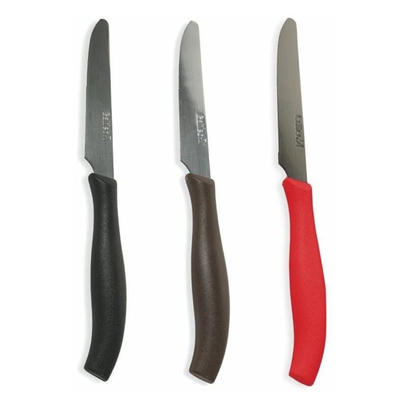 foto del prodotto set 6 coltelli tavola 21cm punta tonda 3 colori assortiti