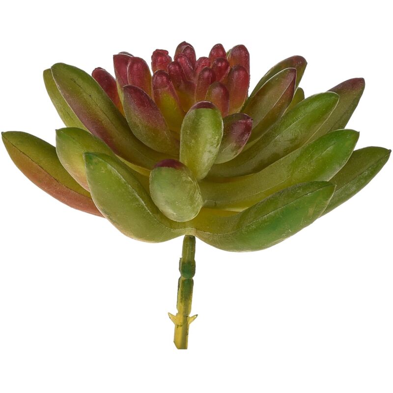 foto del prodotto set 6 crassula cactus artificiale altezza 9 cm verde
