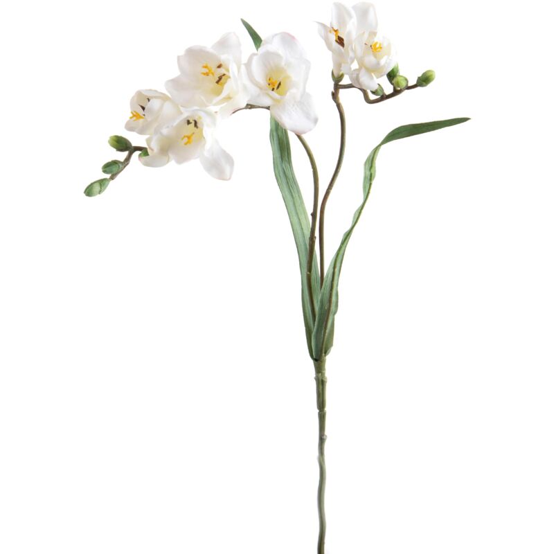 foto del prodotto set 6 fiori artificiali di fresia con due fiori altezza 63 cm bianco