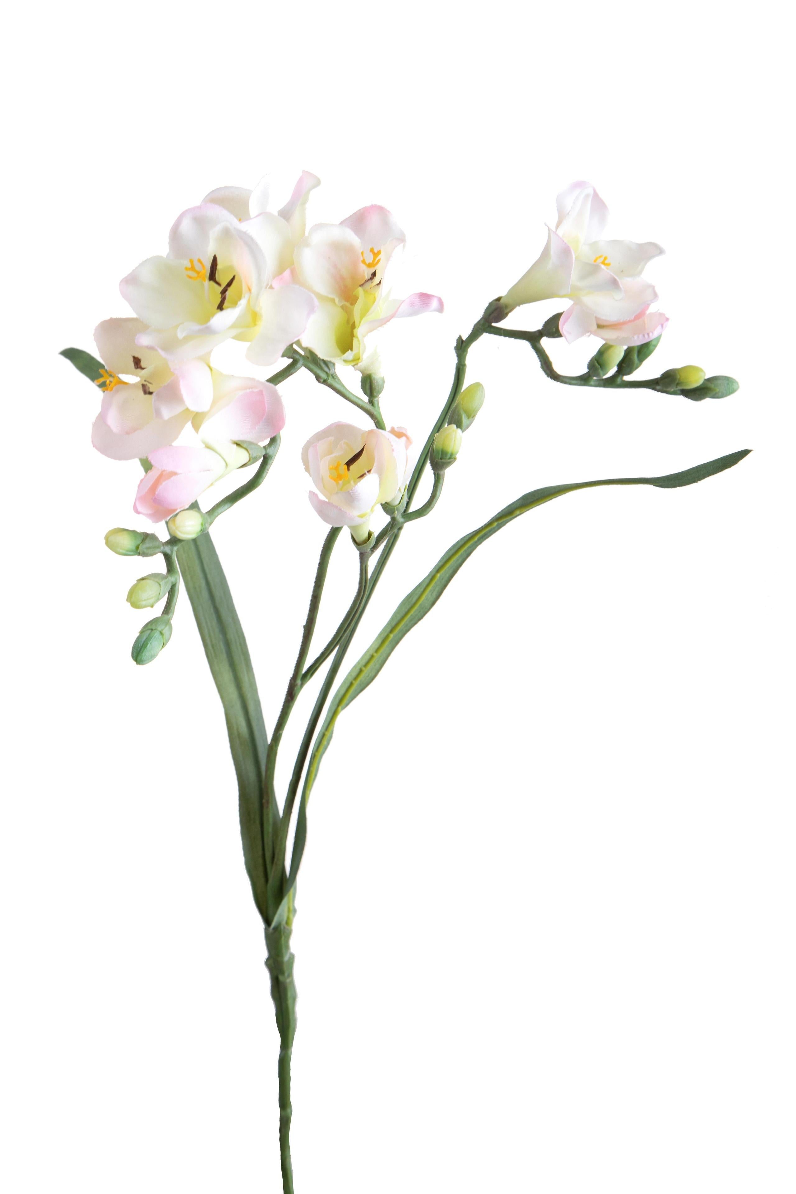 foto del prodotto set 6 fiori artificiali di fresia con due fiori altezza 63 cm rosa