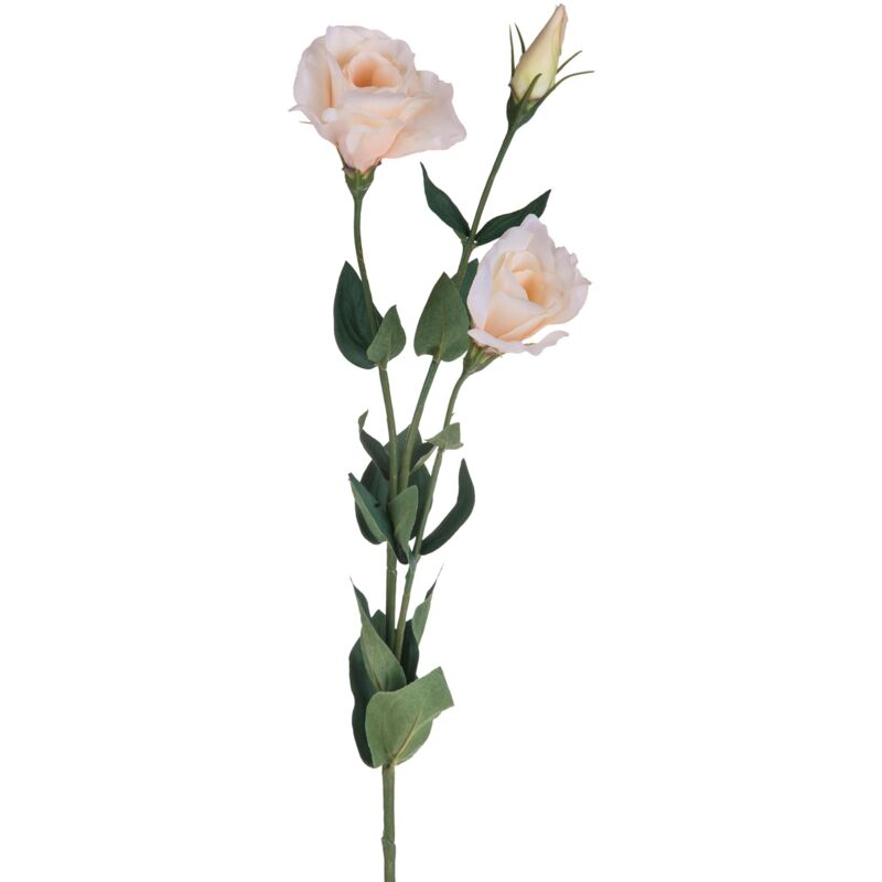 immagine 0 del prodotto set 6 lisianthus artificiali con fiori altezza 75 cm