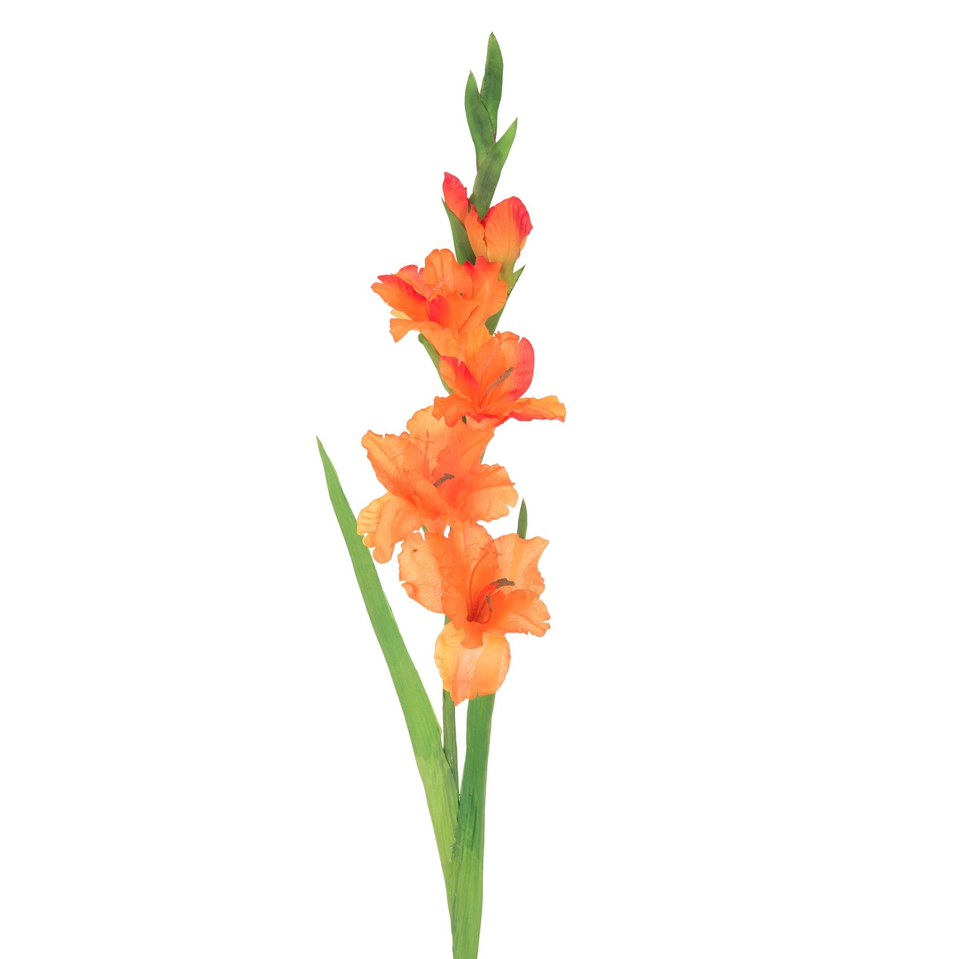 foto del prodotto set 8 fiori artificiali di gladiolo mini altezza 74 cm arancio