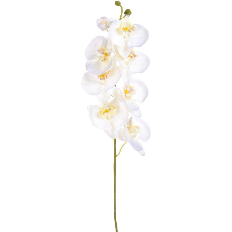 foto del prodotto set 8 phalaenopsis artificiali con 8 fiori altezza 65 cm bianco