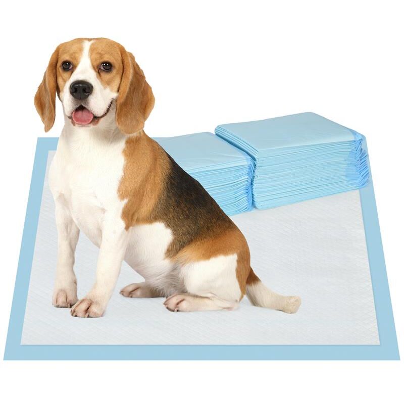 foto del prodotto set 80 tappetini igienici per cani a 6 strati in tessuto non tessuto. carta e pe. 60x60 cm. blu e bianco