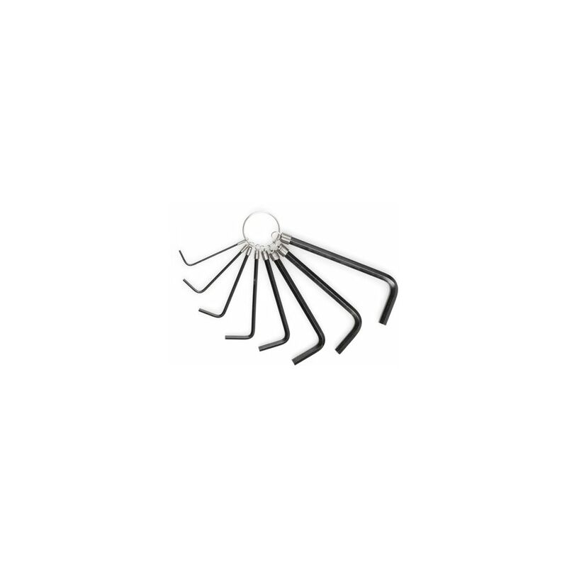 foto del prodotto set chiavi a brugola stein in carbonio con anello 8 pezzi