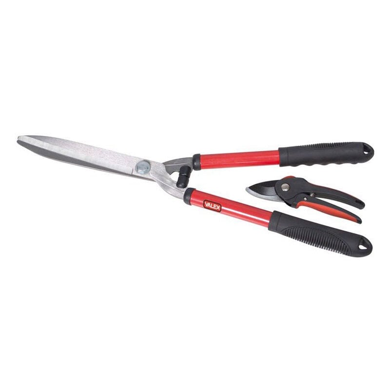 foto del prodotto set composto da forbici per siepi e forbici da potatura valex 1486284