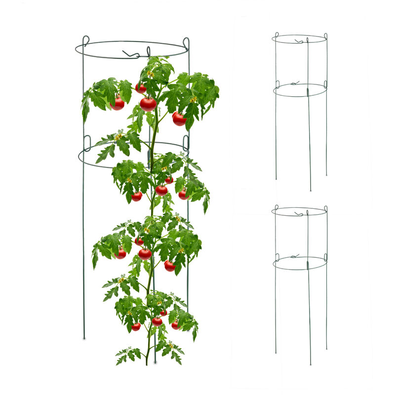 foto del prodotto set da 3 sostegni per piante rampicanti, supporti rotondi per pomodori e cetrioli, h x d 76 x 26 cm, verde relaxdays